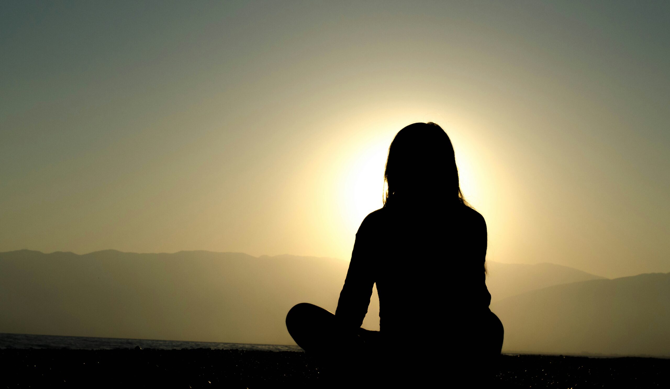 a woman looking over the sunset showing the connection to the body to understand the nervous system